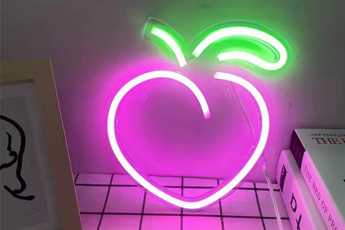 LED Neon Signs Peach Light