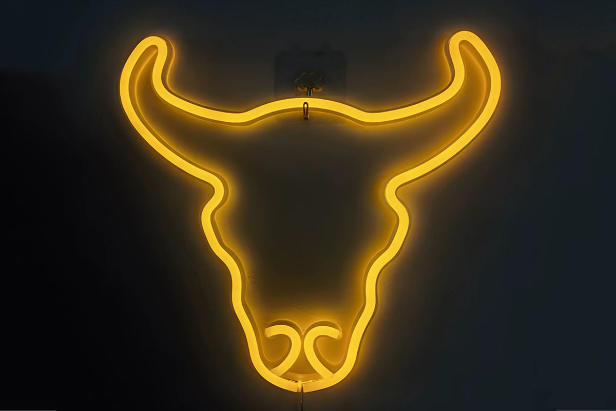 Bull head neon light for room